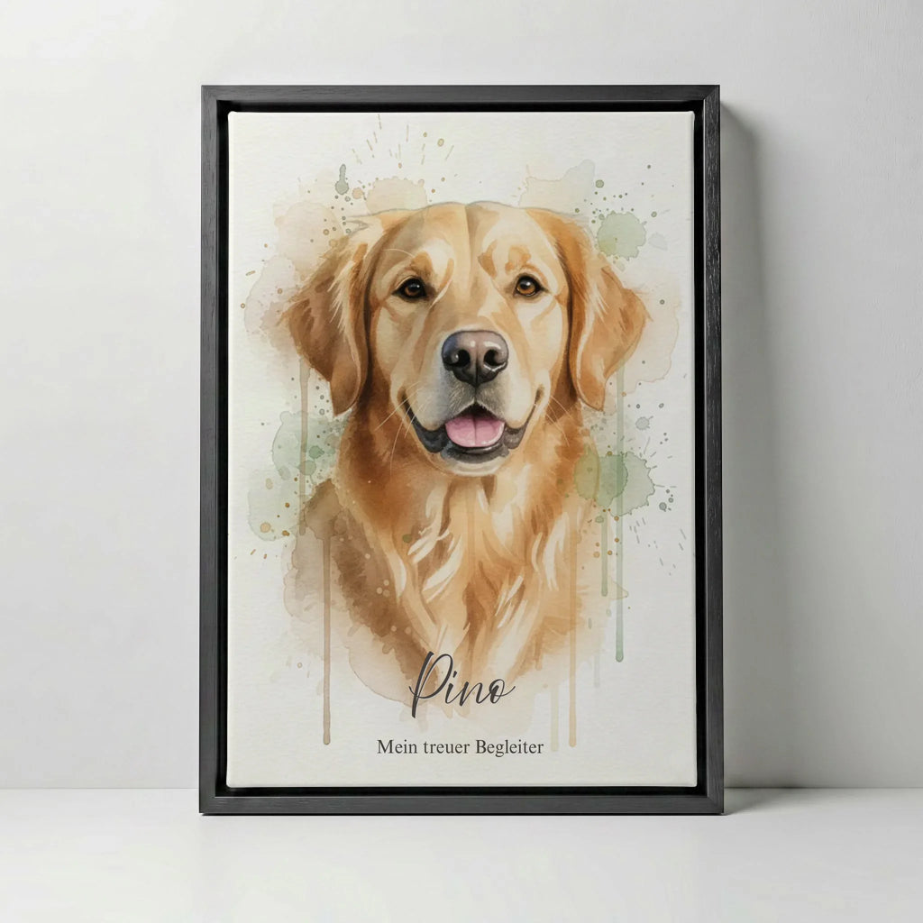 canvas main blackframe
