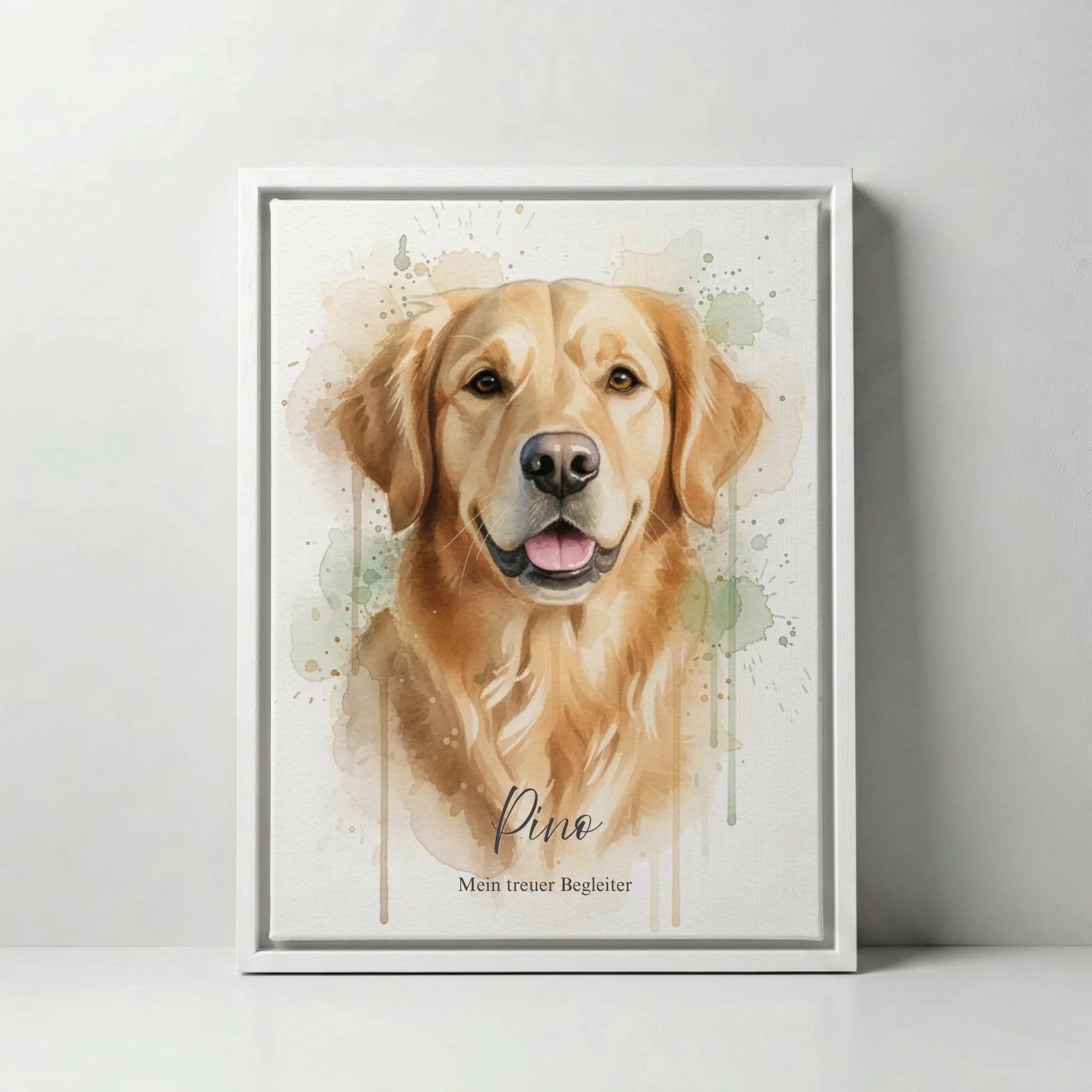 canvas main whiteframe 43