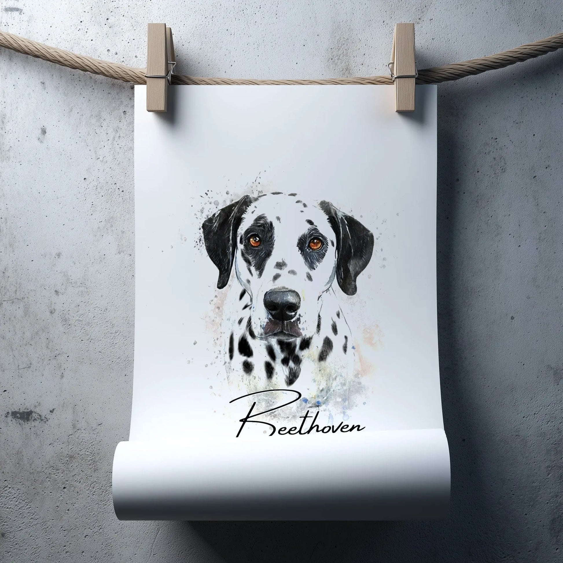 Aquarell-Tierportrait eines schwarz weißen Dalmatiners mit dunklen Augen im Wasserfarben-Stil auf Fine-Art Papier in 50x 70 cm. Frontal an einer grauen Wand hängend. Mit Wäscheklammern an einem Seil befestigt. Das Poster rollt sich unten auf.