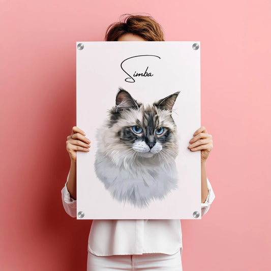 Tierportrait einer Bengal Katze mit weichem Fell im modernen Vektor-Stil auf Acrylglas 60x90 cm. Frontal gehalten von einer Frau vor einer pinken Wand.