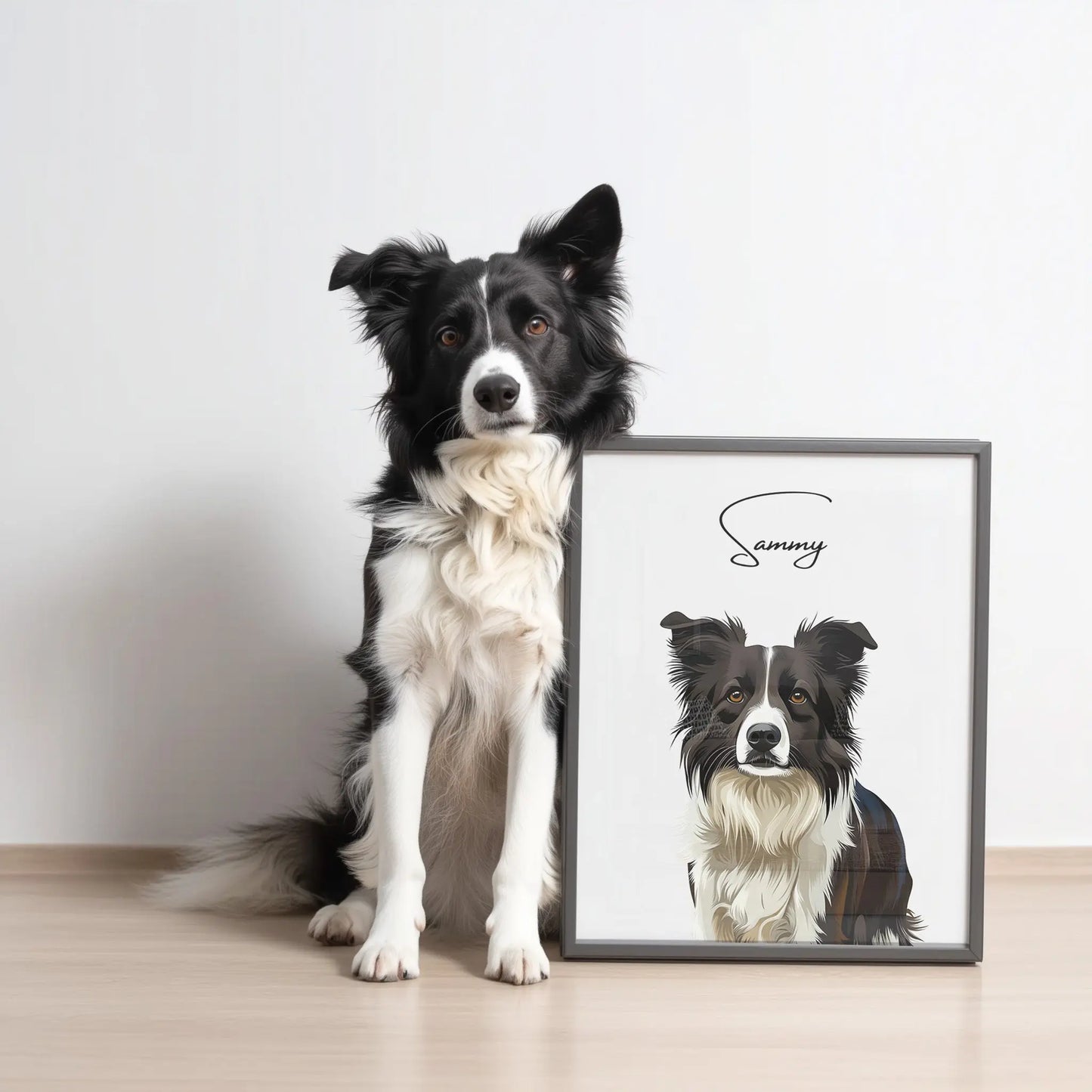 Tierportrait eines schwarz weissen Collies im modernen Vektor-Stil auf Fine-Art Papier im schwarzen Bilderrahmen 30x40 cm. Frontaler Blick. Der Hund sitzt neben seinem Bild vor einer weissen Wand. 