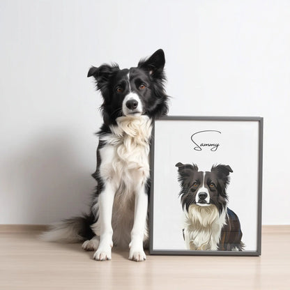 Tierportrait eines schwarz weissen Collies im modernen Vektor-Stil auf Fine-Art Papier im schwarzen Bilderrahmen 30x40 cm. Frontaler Blick. Der Hund sitzt neben seinem Bild vor einer weissen Wand. 